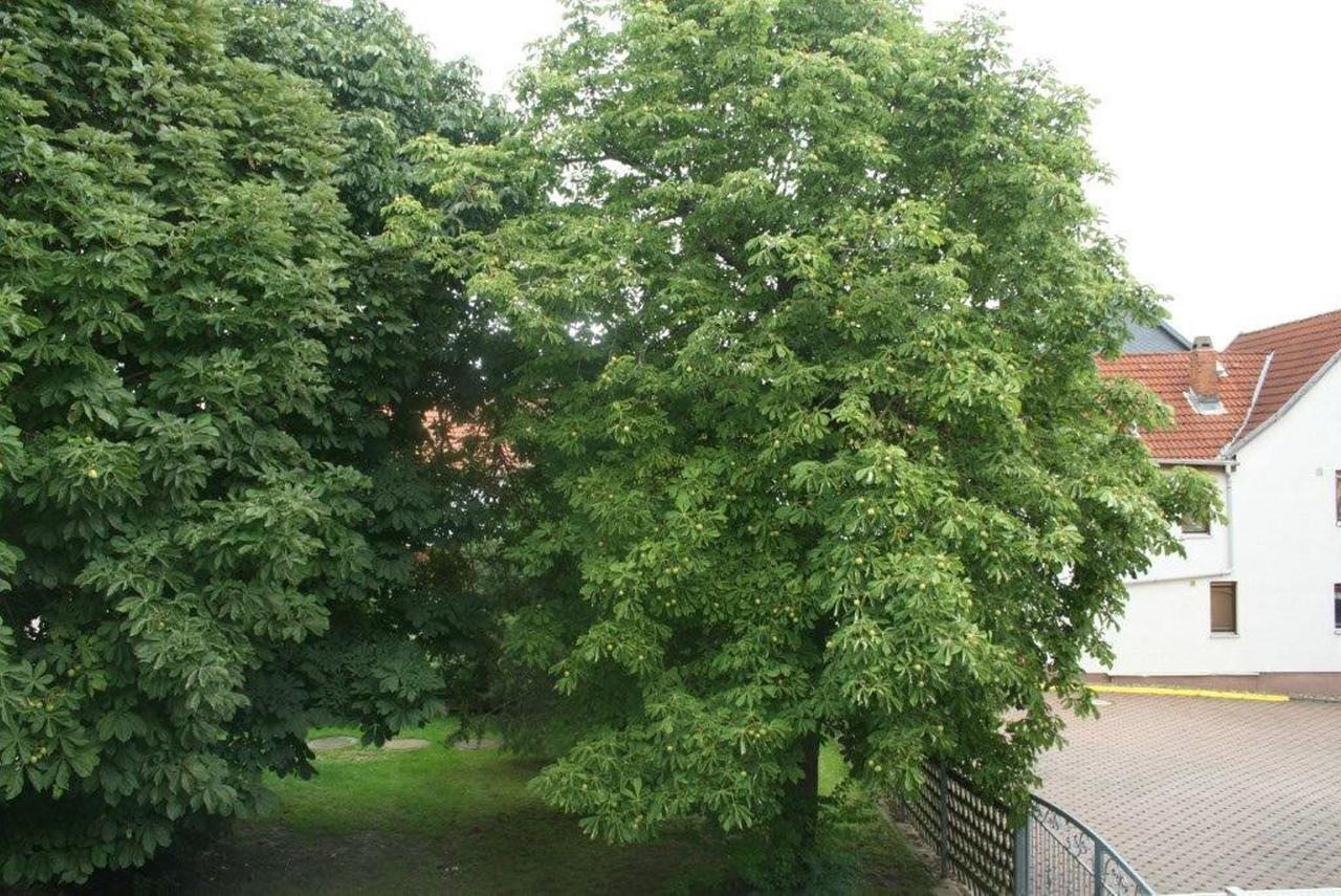 Hotel Pension Zur Krone Eisenach Exteriér fotografie